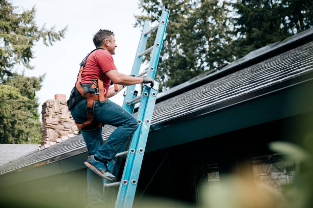 Best Roof Maintenance and Cleaning  in USA